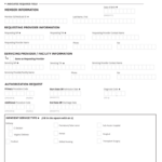 Florida Authorization Form Fill Out Sign Online DocHub