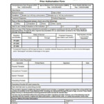 FREE 31 Therapy Forms In PDF MS Word XLS